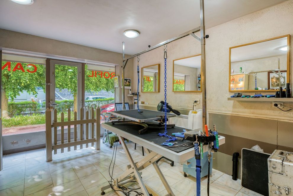 Intérieur d'un salon de coiffure avec fauteuil de coiffure, miroirs, lavabo et fenêtres donnant sur la verdure.