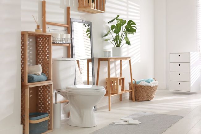 Un baño con inodoro, estanterías, un espejo y una planta.