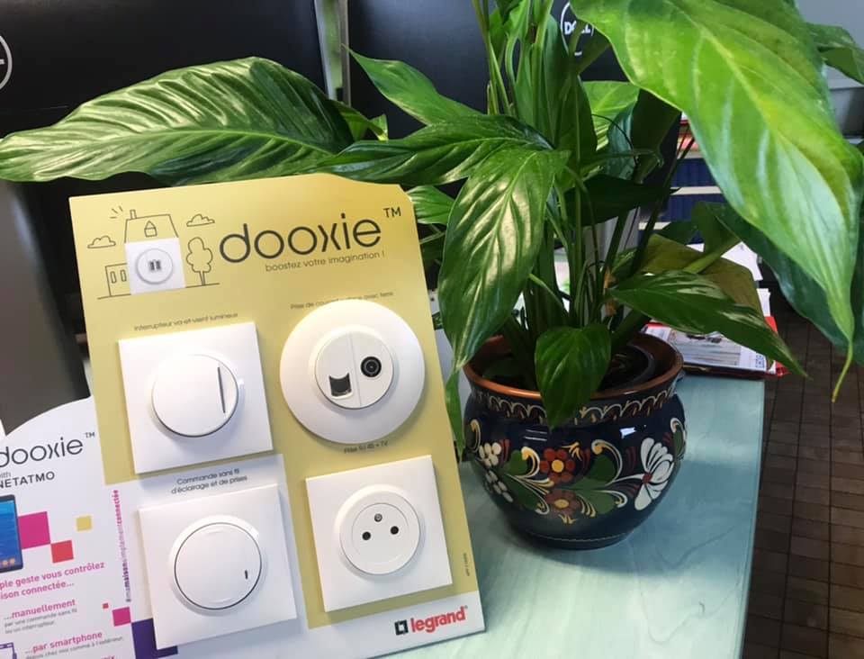 Elements électriques Legrand