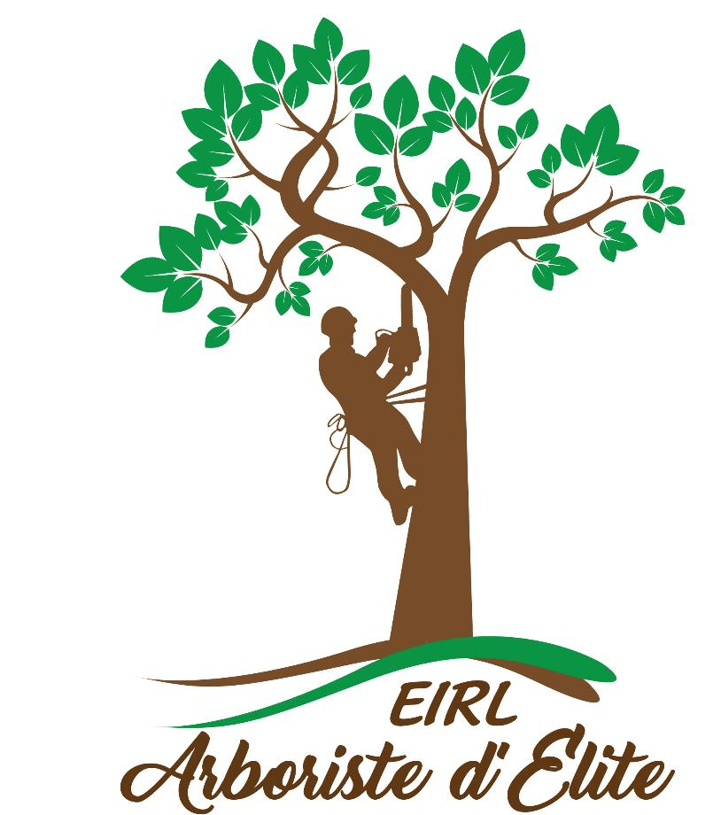 Arboriste d'Élite