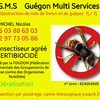 logo g.M.s.png