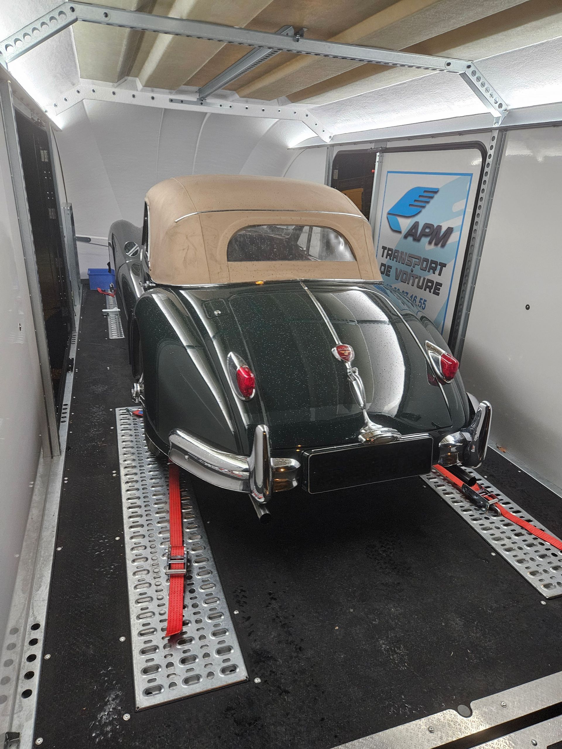 Une décapotable vintage vert foncé, solidement fixée par des sangles rouges à l'intérieur d'une remorque fermée.