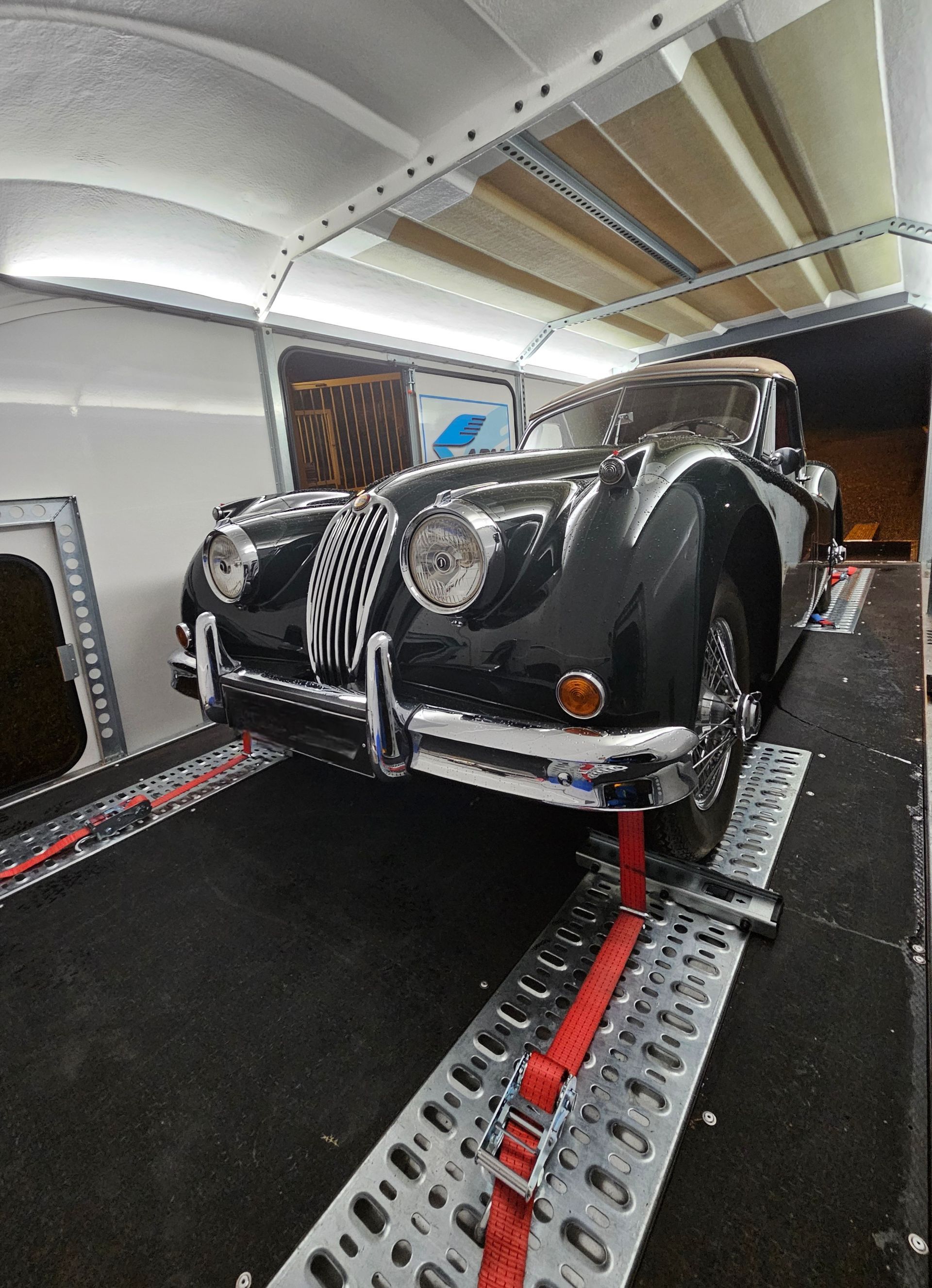 Une Jaguar vintage noire, arrimée par des sangles rouges à l'intérieur d'une remorque blanche.