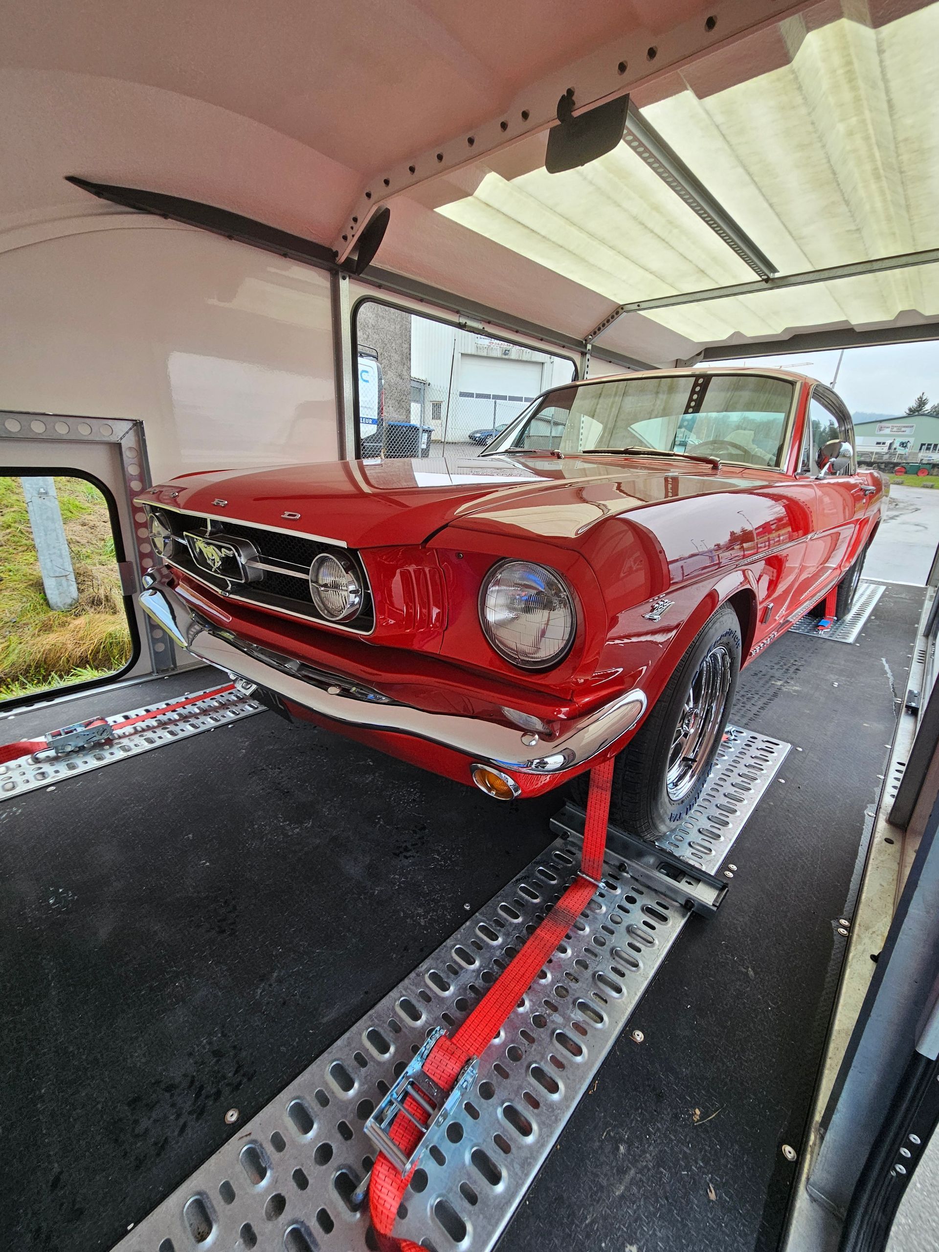 Une Ford Mustang vintage rouge brillant, solidement sanglée à l'intérieur d'une remorque de transport.
