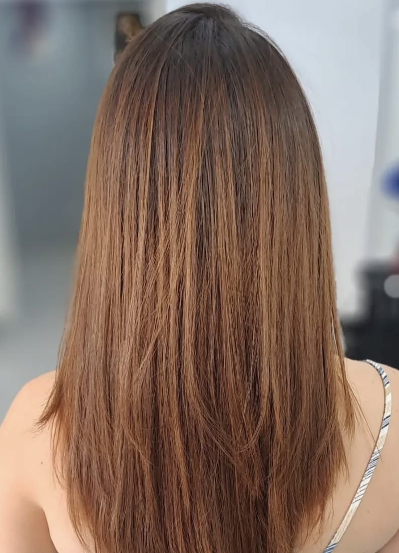 La parte posterior de la cabeza de una mujer con cabello largo y castaño.