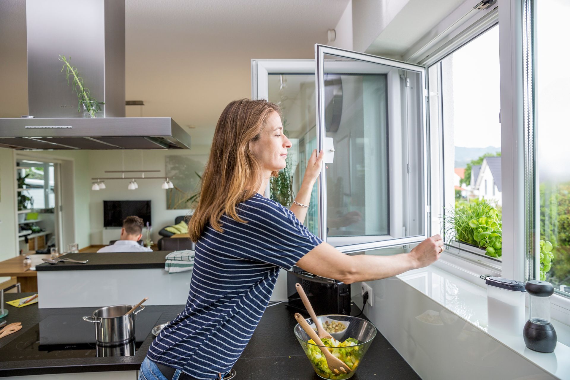 Fenster mit Insektenschutzgitter