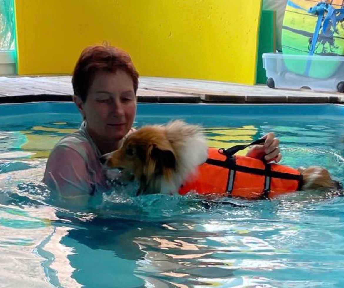 Dellenbach Kneuss Physiotherapie Bioresonanz