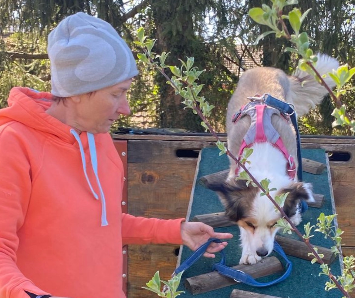 Dellenbach Kneuss Physiotherapie Bioresonanz