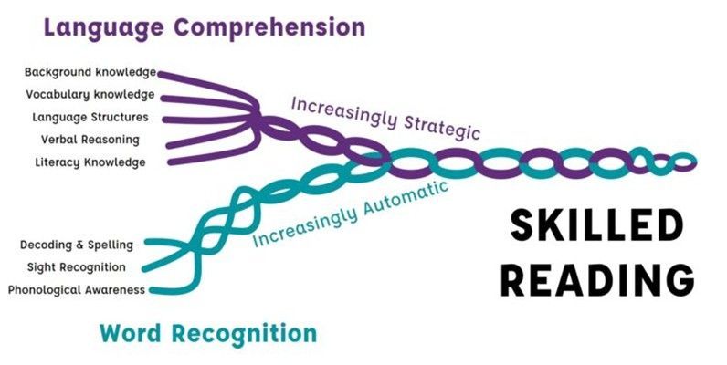 A diagram of language comprehension and skilled reading