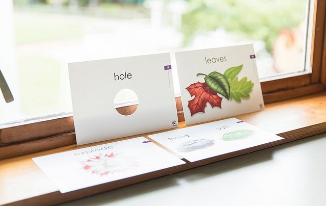 ESL Curriculum for Children | GrapeSEED