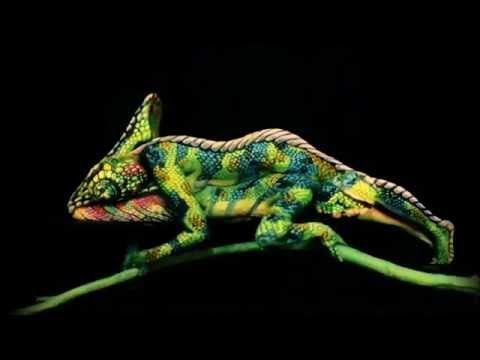 A chameleon painted to look like a person is sitting on a branch.