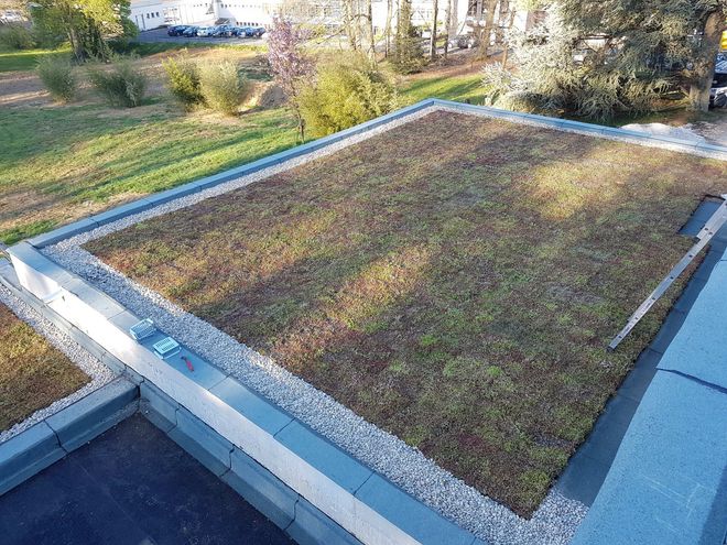 Un toit plat avec une finition de couche végétalisée