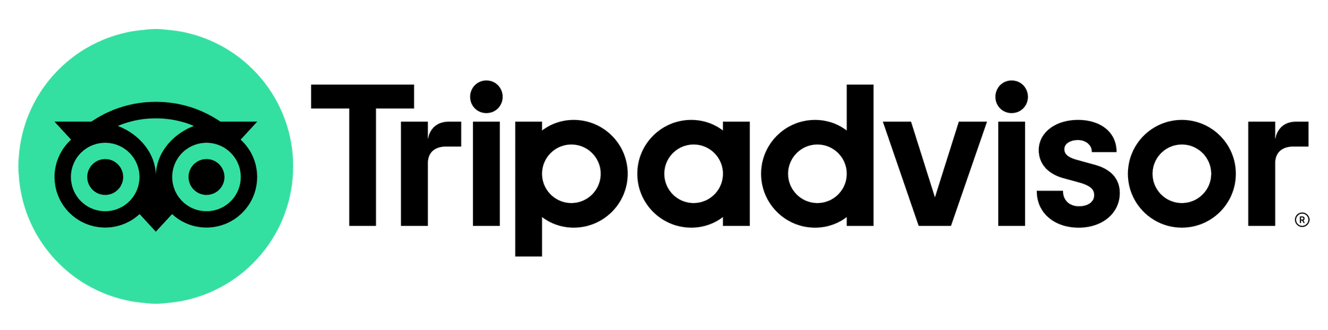 Logo Tripadvisor : Cercle vert avec icône de hibou, texte noir « Tripadvisor ».