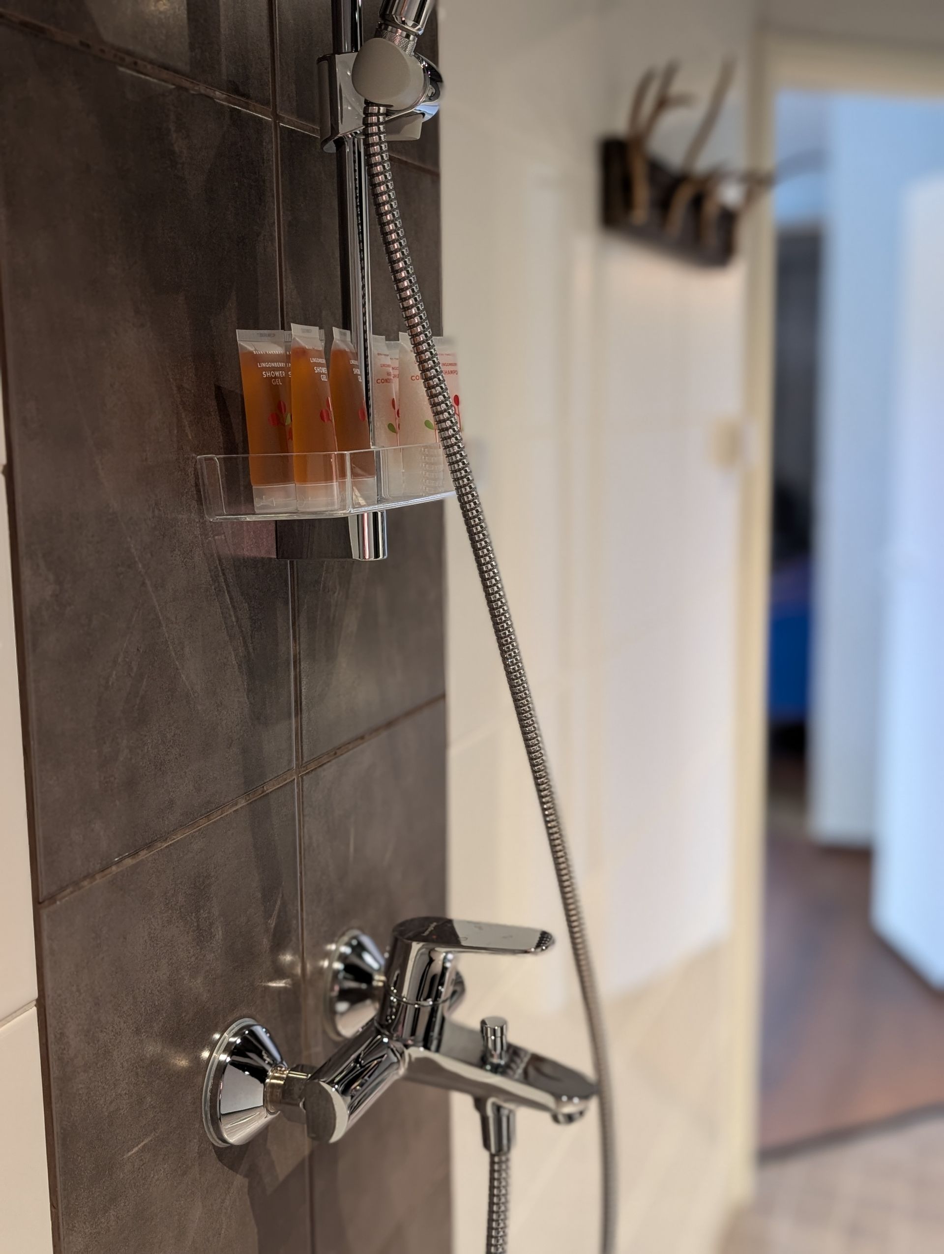 Hotelli Metsähirvas