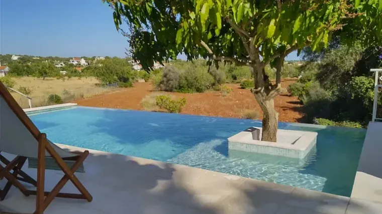 Una piscina con un árbol en el medio.
