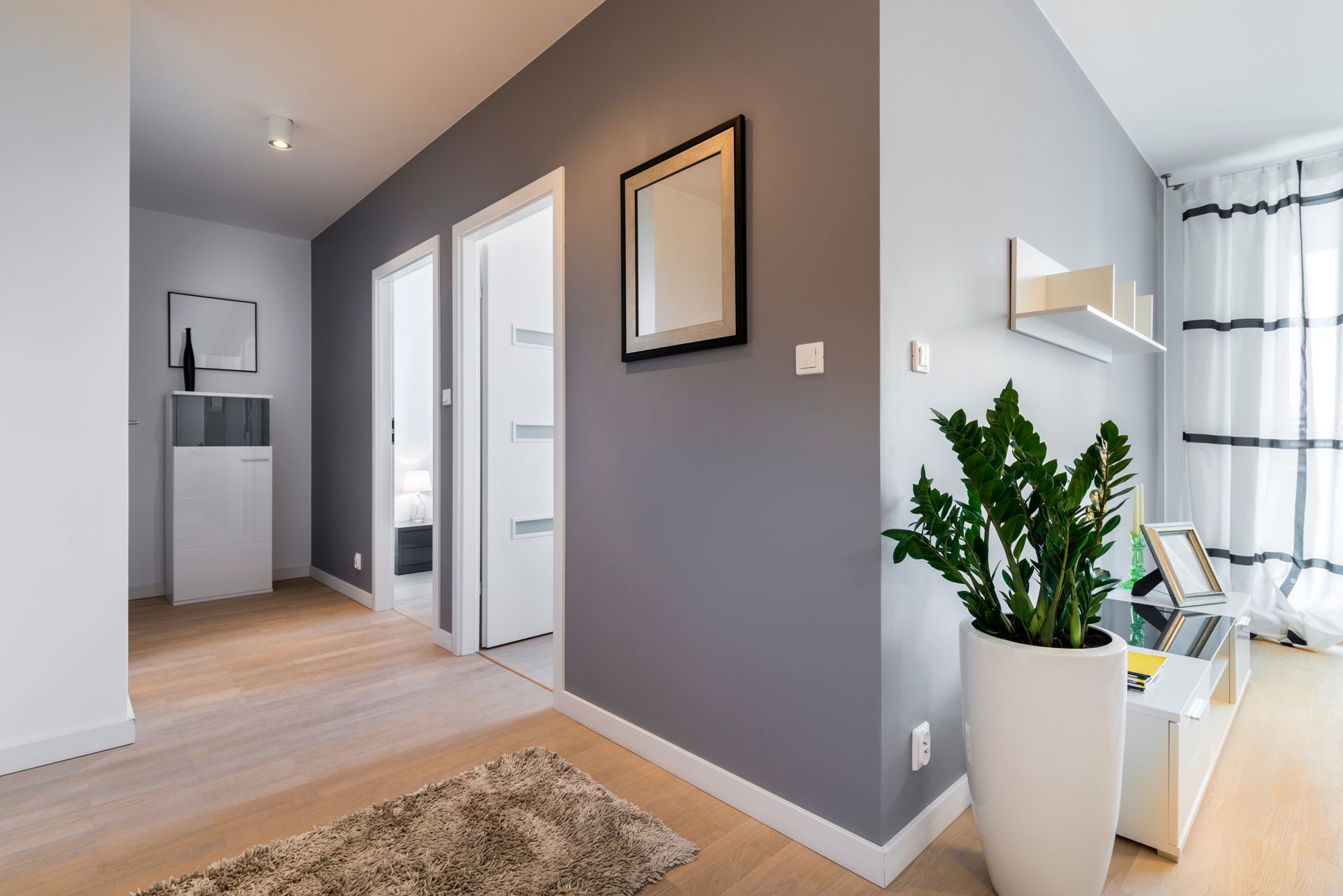 Couloir moderne avec murs gris, portes blanches, parquet, tableaux encadrés et une plante en pot dans une pièce lumineuse.