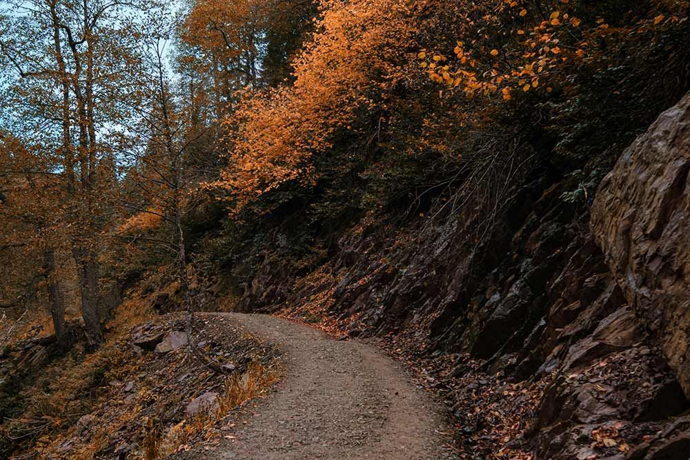 Un estrecho sendero de tierra serpentea por un bosque otoñal junto a una ladera rocosa
