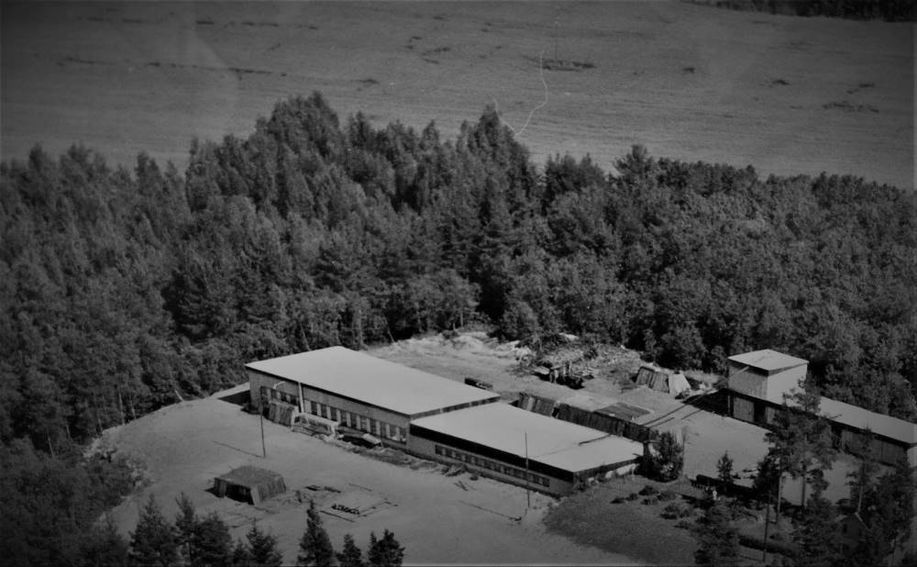 puusepanliikeihalainen