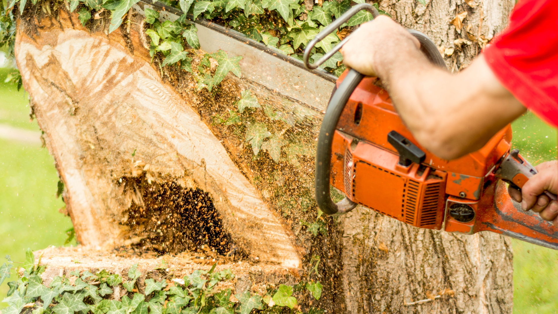 Une personne utilise une tronçonneuse orange pour couper un tronc d'arbre à l'extérieur.