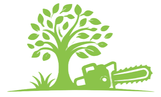 Arbre vert avec tronçonneuse, logo de la société Kenzo Rodier.