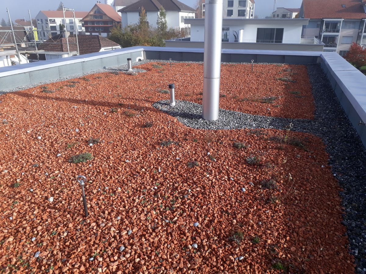 Flachdach von Galliker Bedachungen GmbH