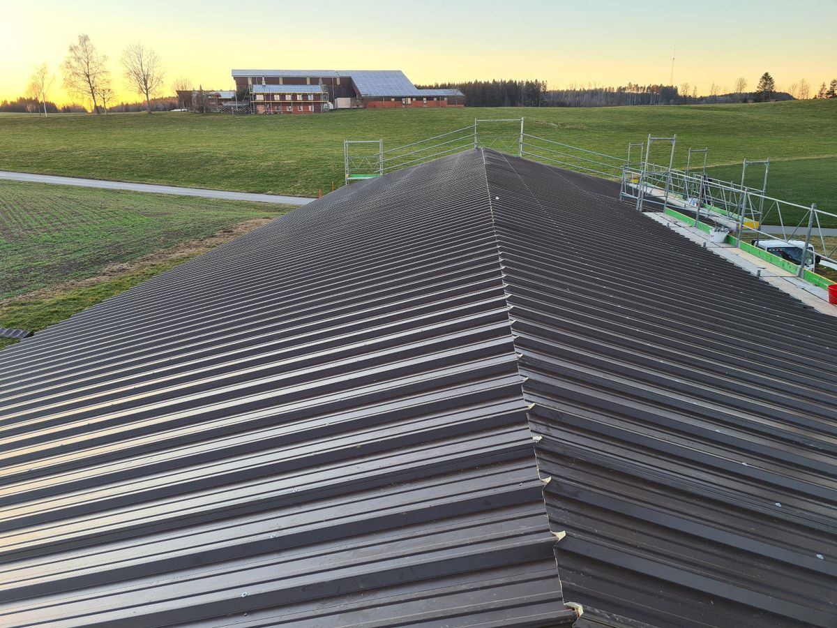 Dach aus Sandwichblech von Galliker Bedachungen GmbH