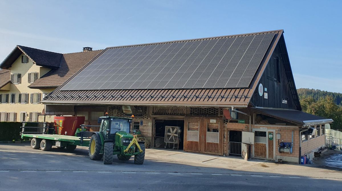 Dach aus Sandwichblech von Galliker Bedachungen GmbH