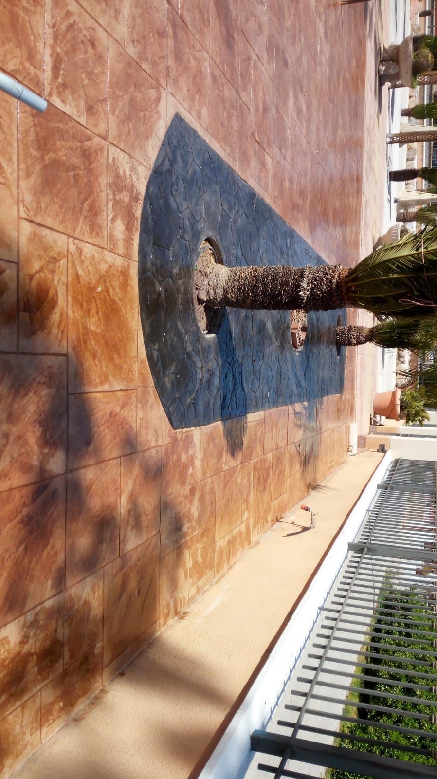 Una palmera proyecta su sombra sobre un patio soleado con baldosas de terracota, junto a una valla y un sendero.