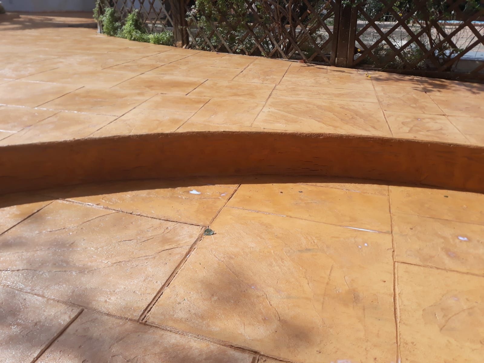 Escalón curvo de hormigón en un patio de baldosas color canela con arbustos al fondo y sombras sobre el suelo.