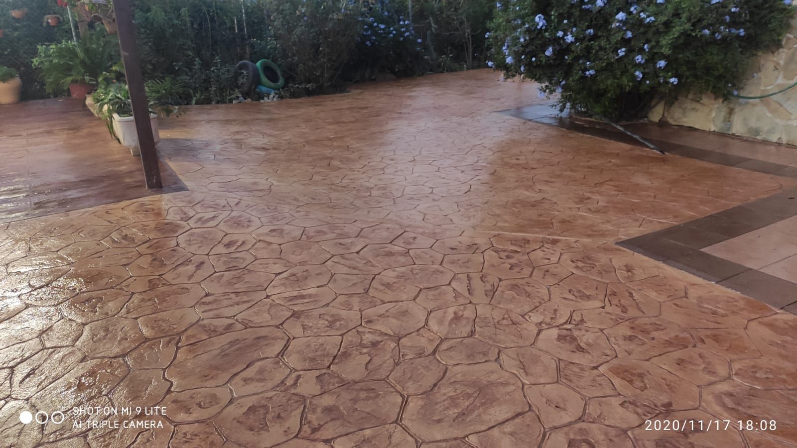 Patio pavimentado empapado por la lluvia, con suelo húmedo de color marrón y plantas a lo largo de los bordes.
