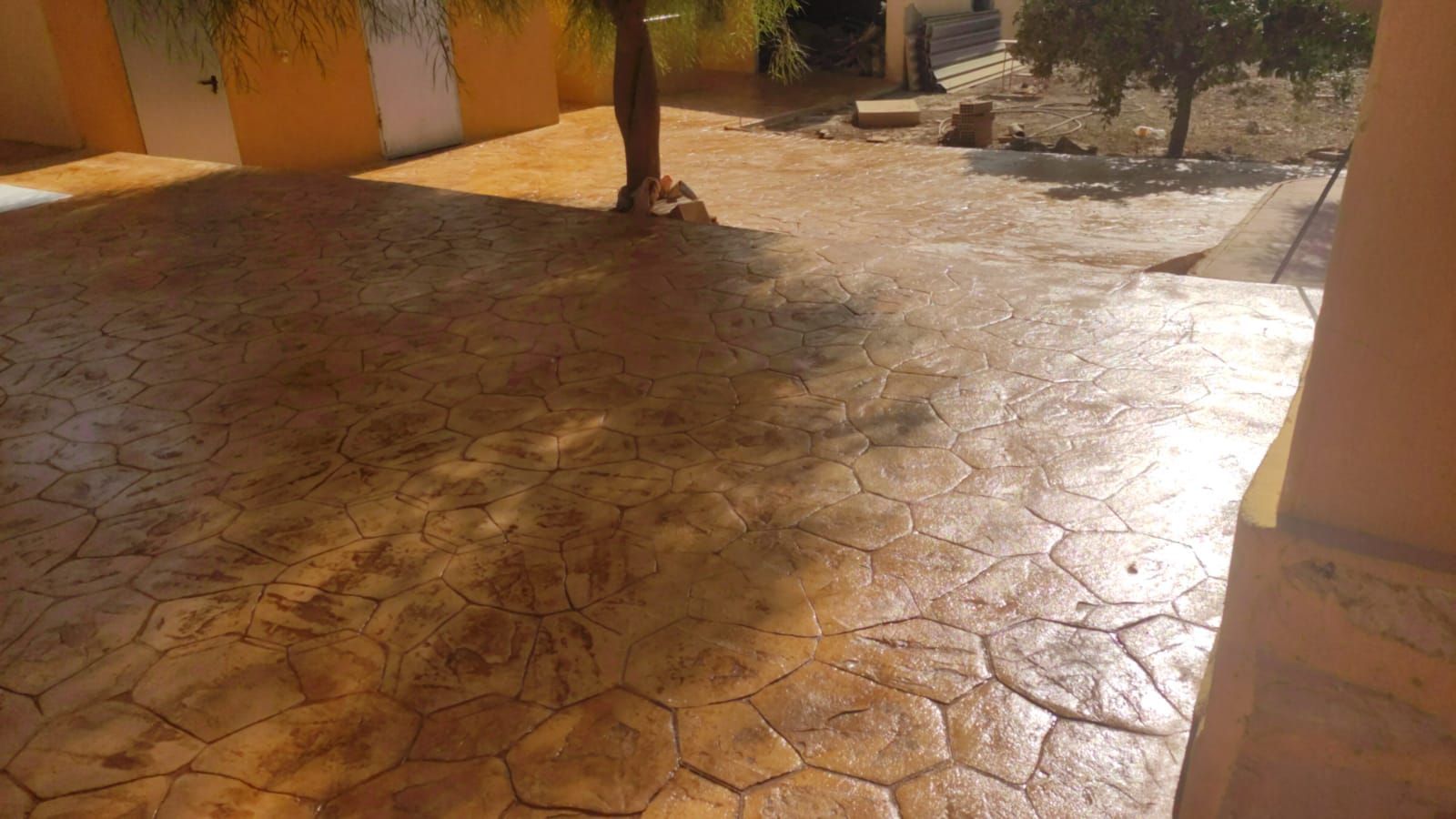 Patio de hormigón agrietado bañado por el sol, junto a un edificio amarillo y árboles, con largas sombras.