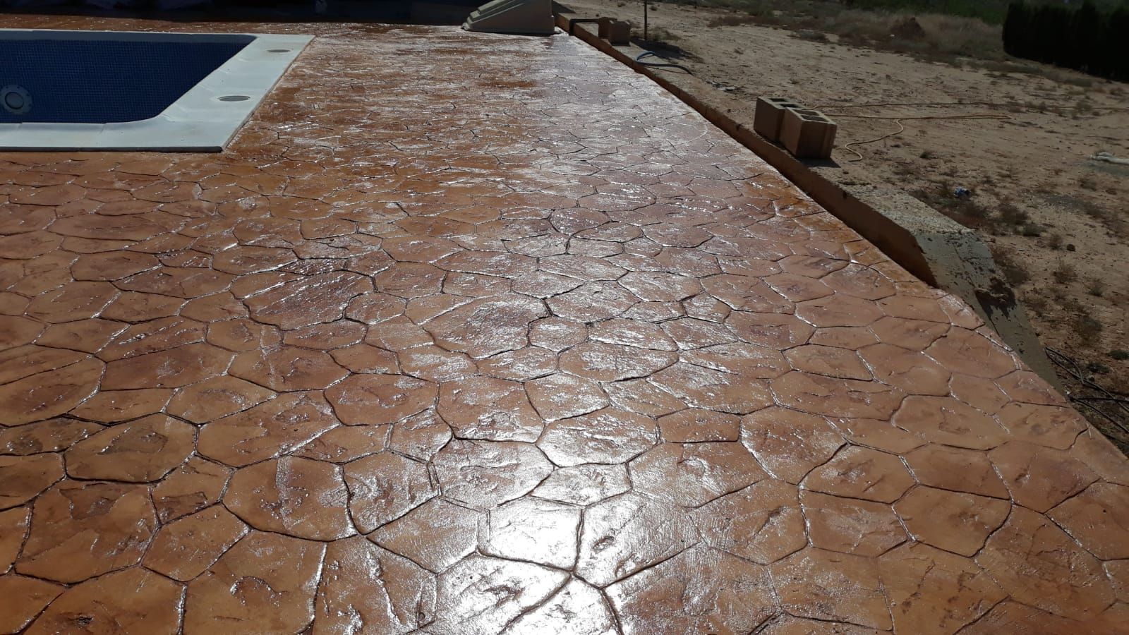 Patio de hormigón estampado con diseño hexagonal, bañado por el sol, junto a un jardín de plantas secas.