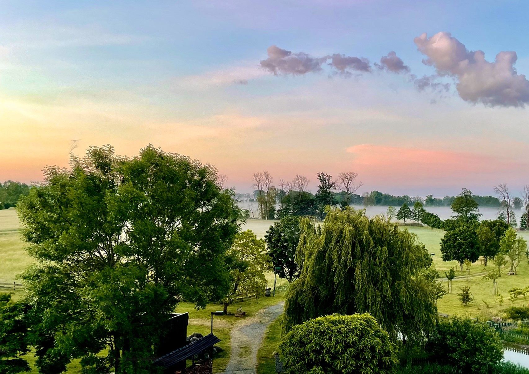Grüne Bäume säumen einen Feldweg, der bei Sonnenaufgang zu einem nebligen Feld führt; rosa, gelb und blauer Himmel.