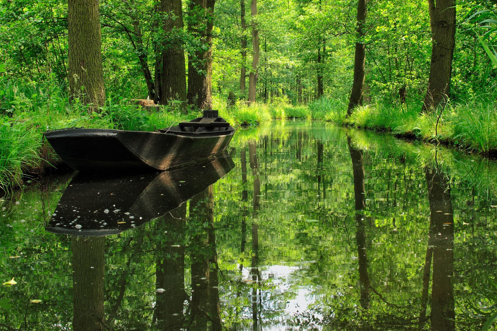 Boot auf einem dunklen, spiegelnden Bach in einem üppigen grünen Wald; Sonnenlicht fällt durch die Bäume.