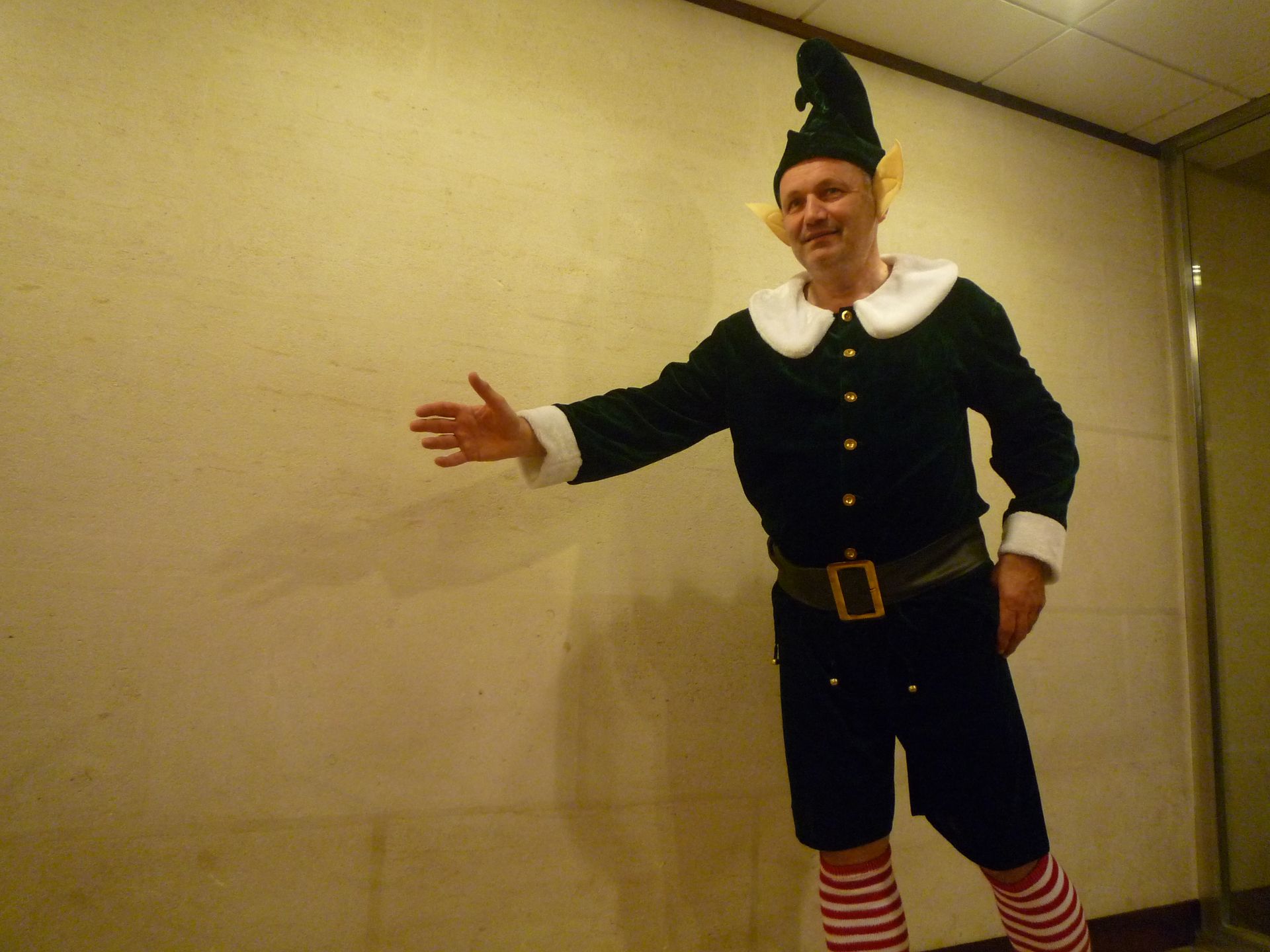 Déguisement de lutin