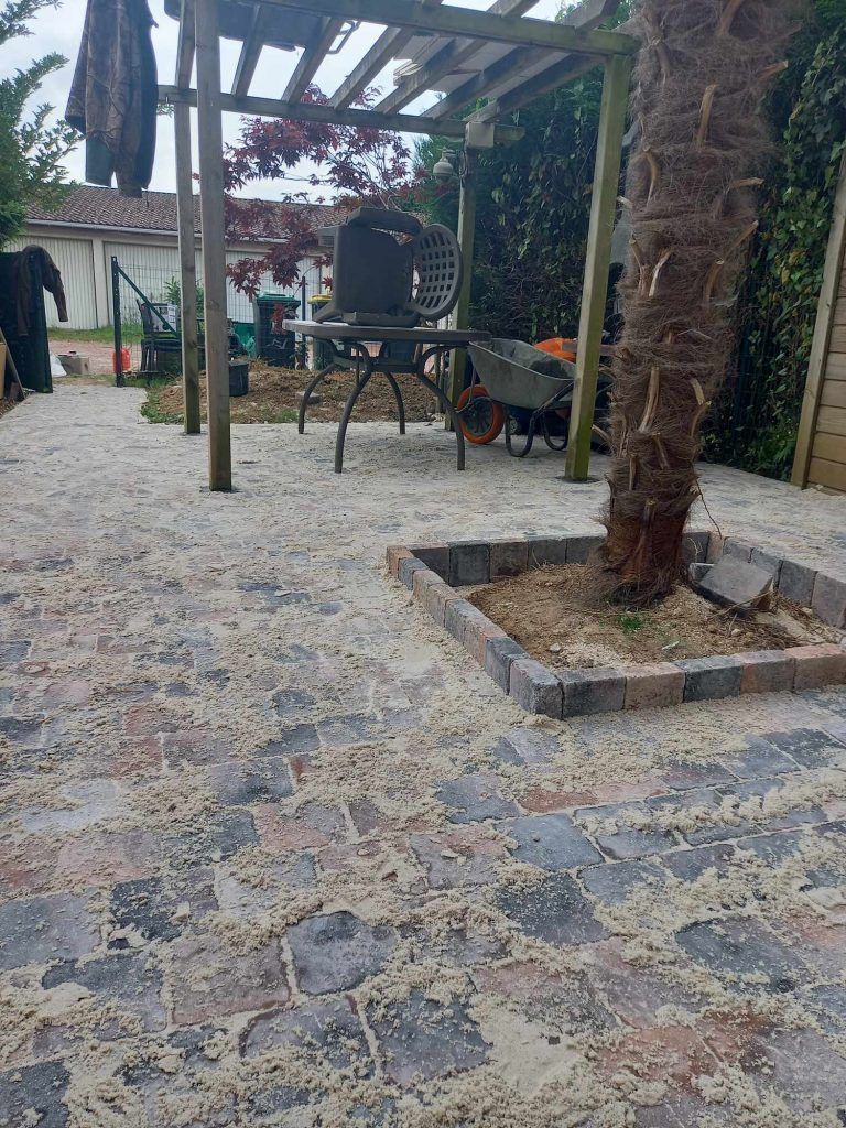 Pose de pavés autour d'un arbre