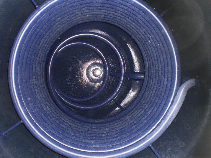 détartrage photo après