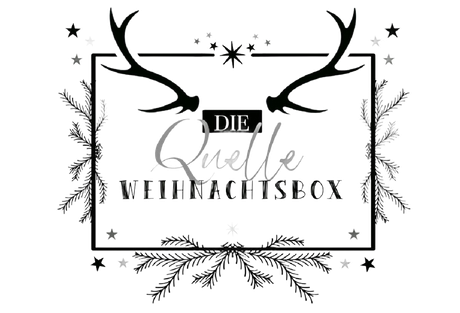 Logo für „Die Quelle Weihnachtsbox“ mit Geweihen, Sternen und immergrünen Zweigen.