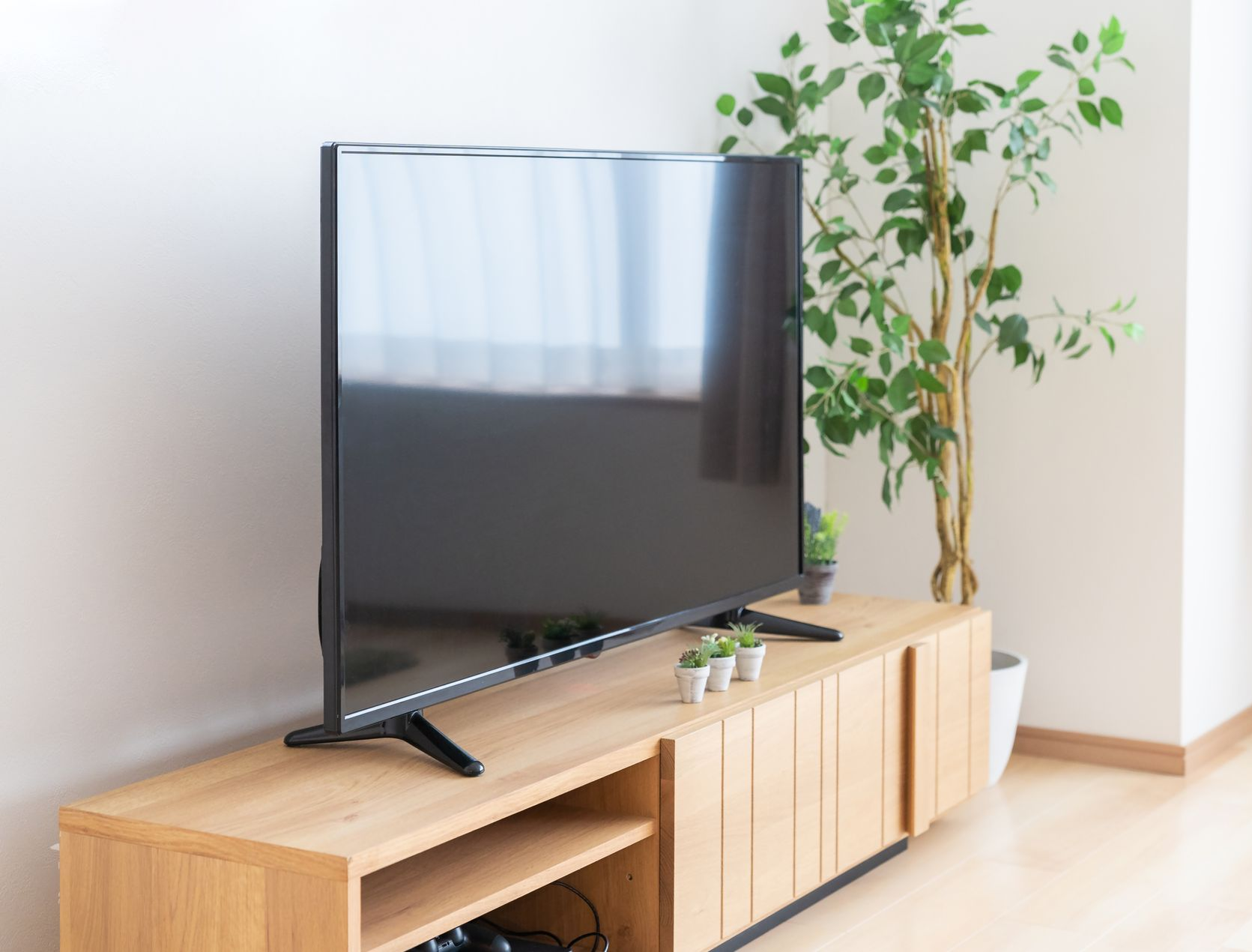 Salon moderne avec une grande télévision à écran plat sur un meuble et une plante en pot à proximité.
