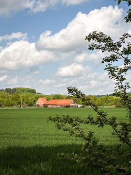 Blick aus der Ferne auf den Hof Gottesbueren, direkt am Diemelradweg gelegen.