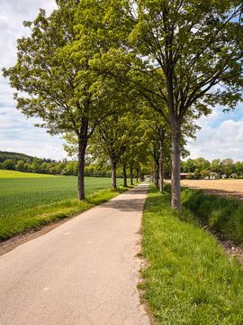 5-Sterne Diemelradweg in der Naehe des Hof Gottesbueren bei Warburg.
