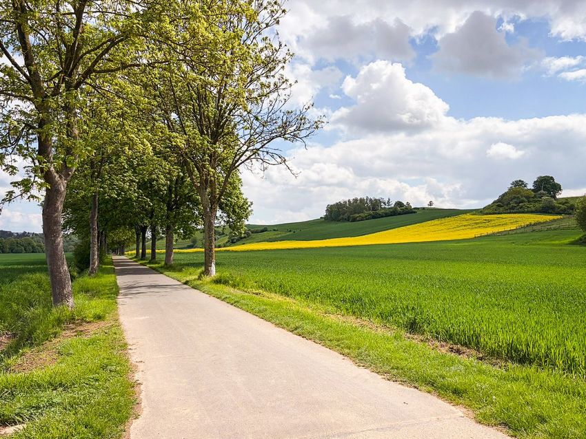 Top-bewerteter Diemelradweg bei Warburg-Germete