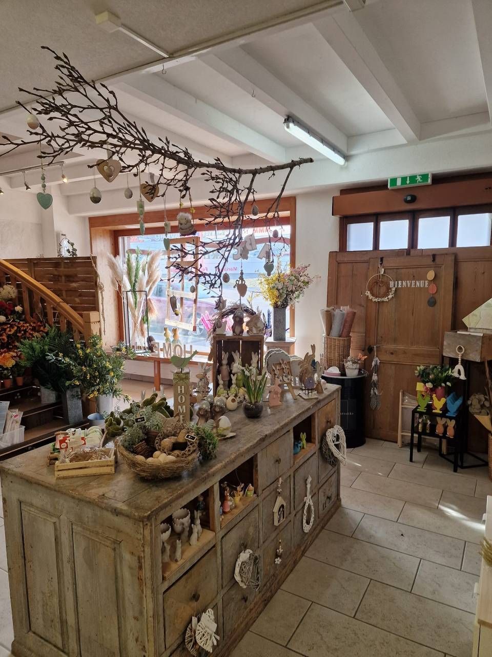 Une grande table en bois dans une pièce avec beaucoup de plantes dessus.