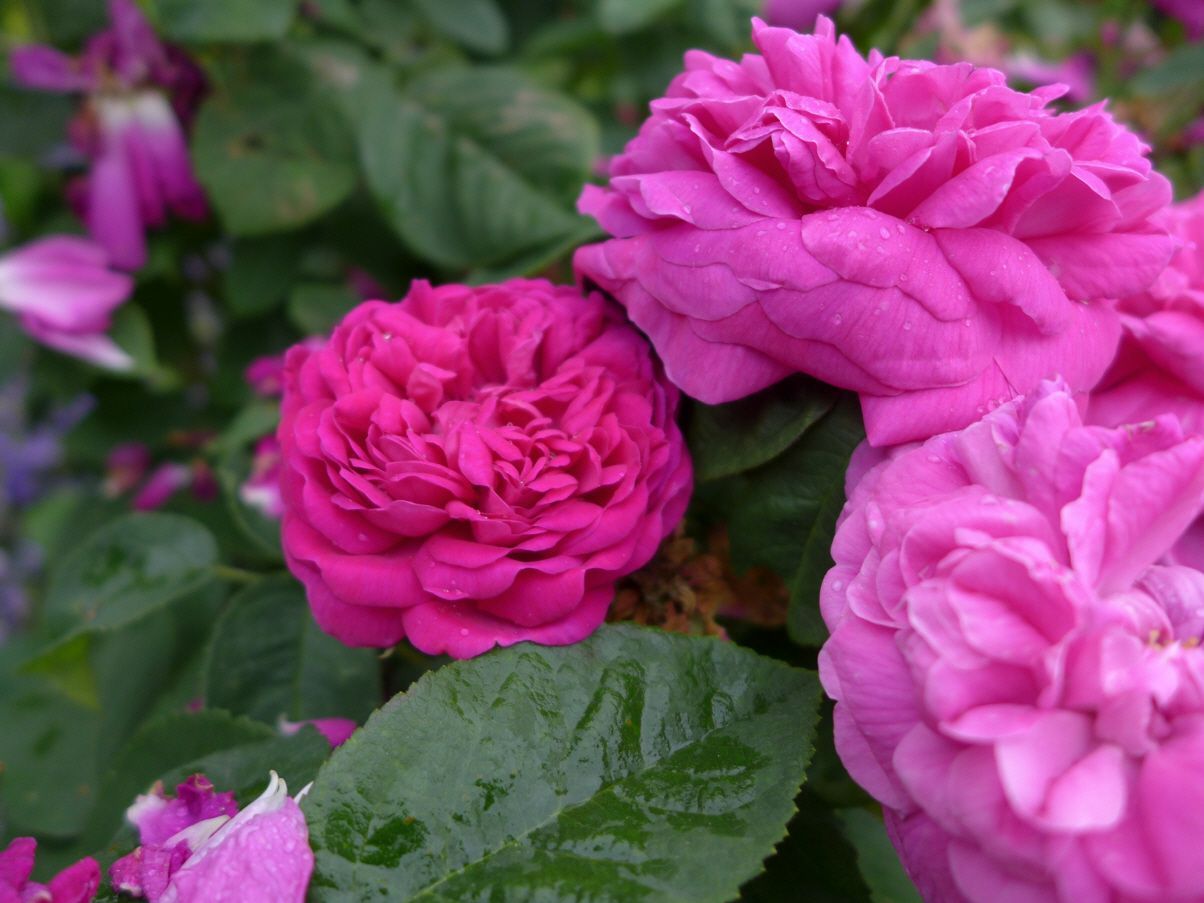 Kurse selbstgemacht - Silvia Meister Gratwohl - Bern und Zuchwil 1