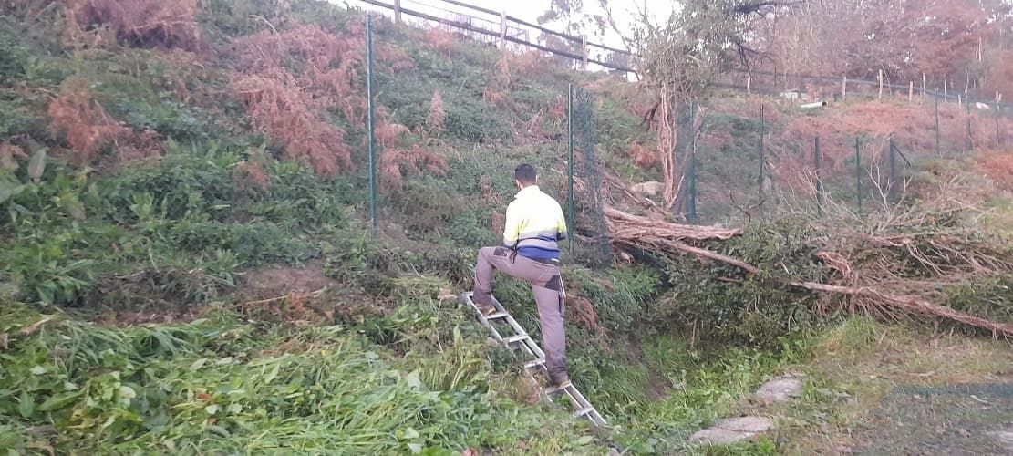 Un hombre está sentado en una escalera en medio de un bosque.
