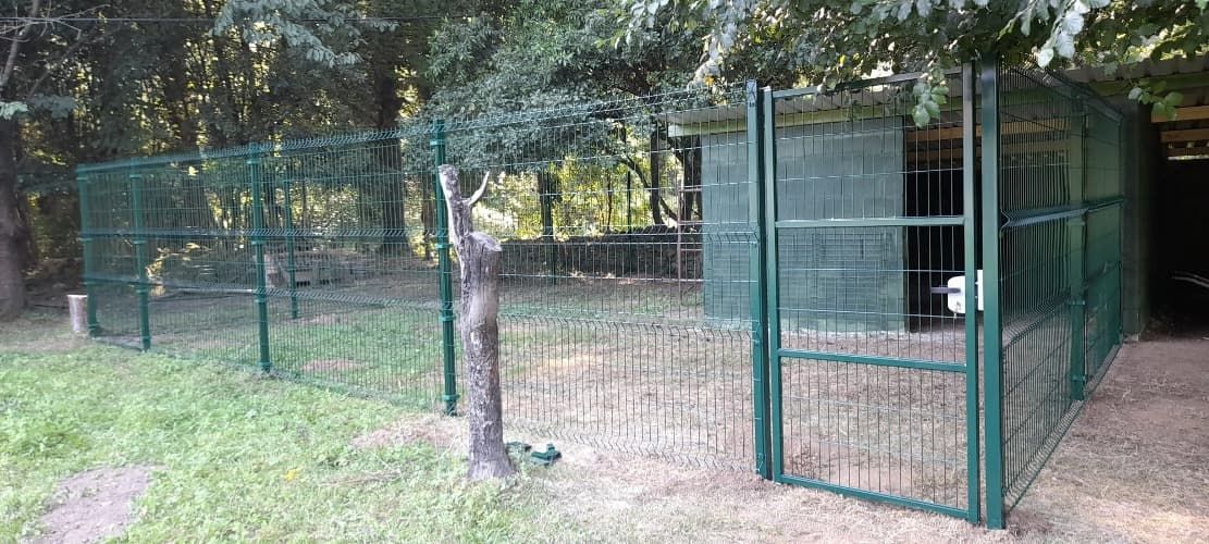 Una valla verde rodea una perrera en un parque.