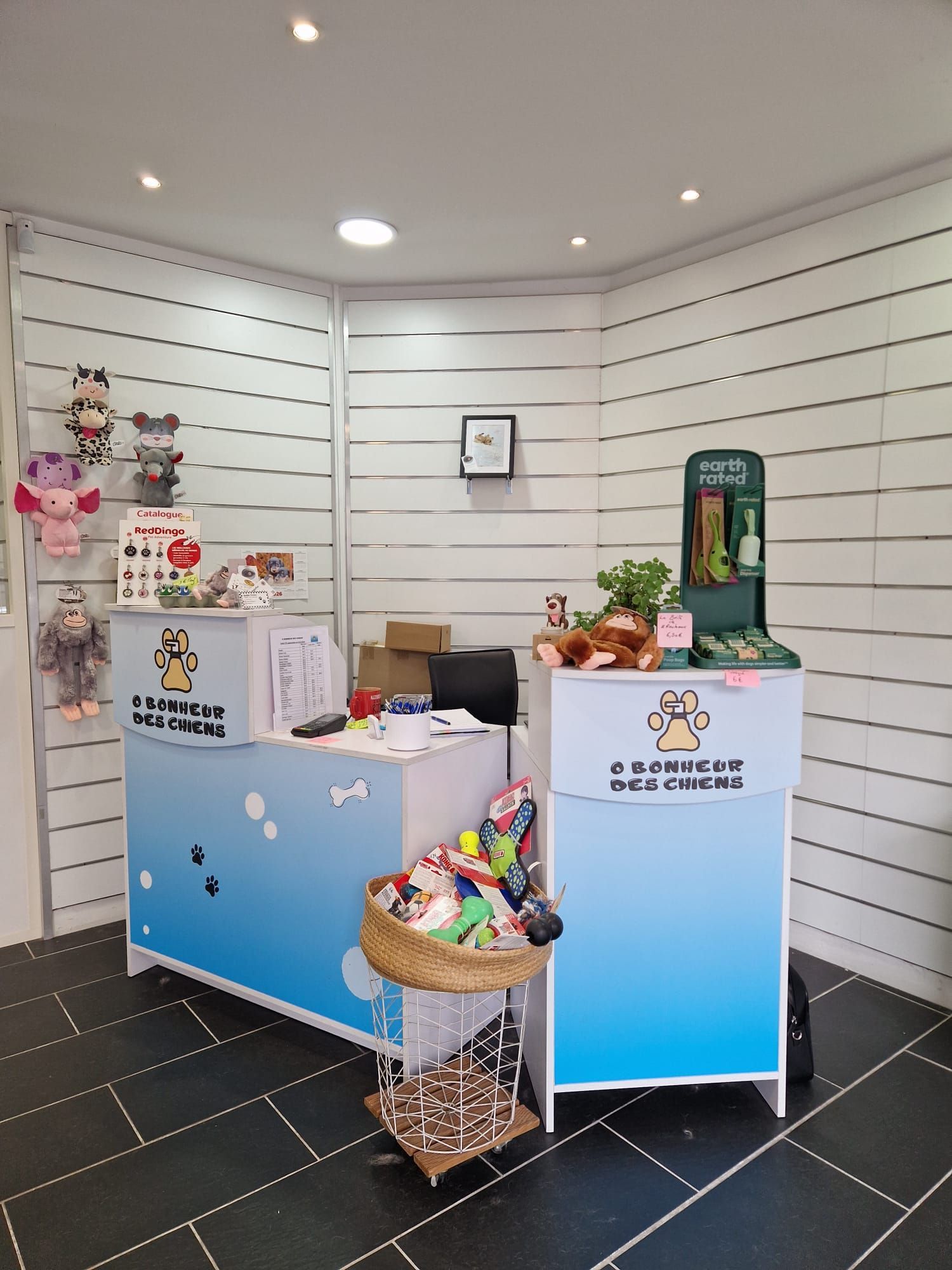 Petit comptoir d'accueil, paniers cadeaux et présentoirs muraux dans une boutique d'un blanc éclatant.