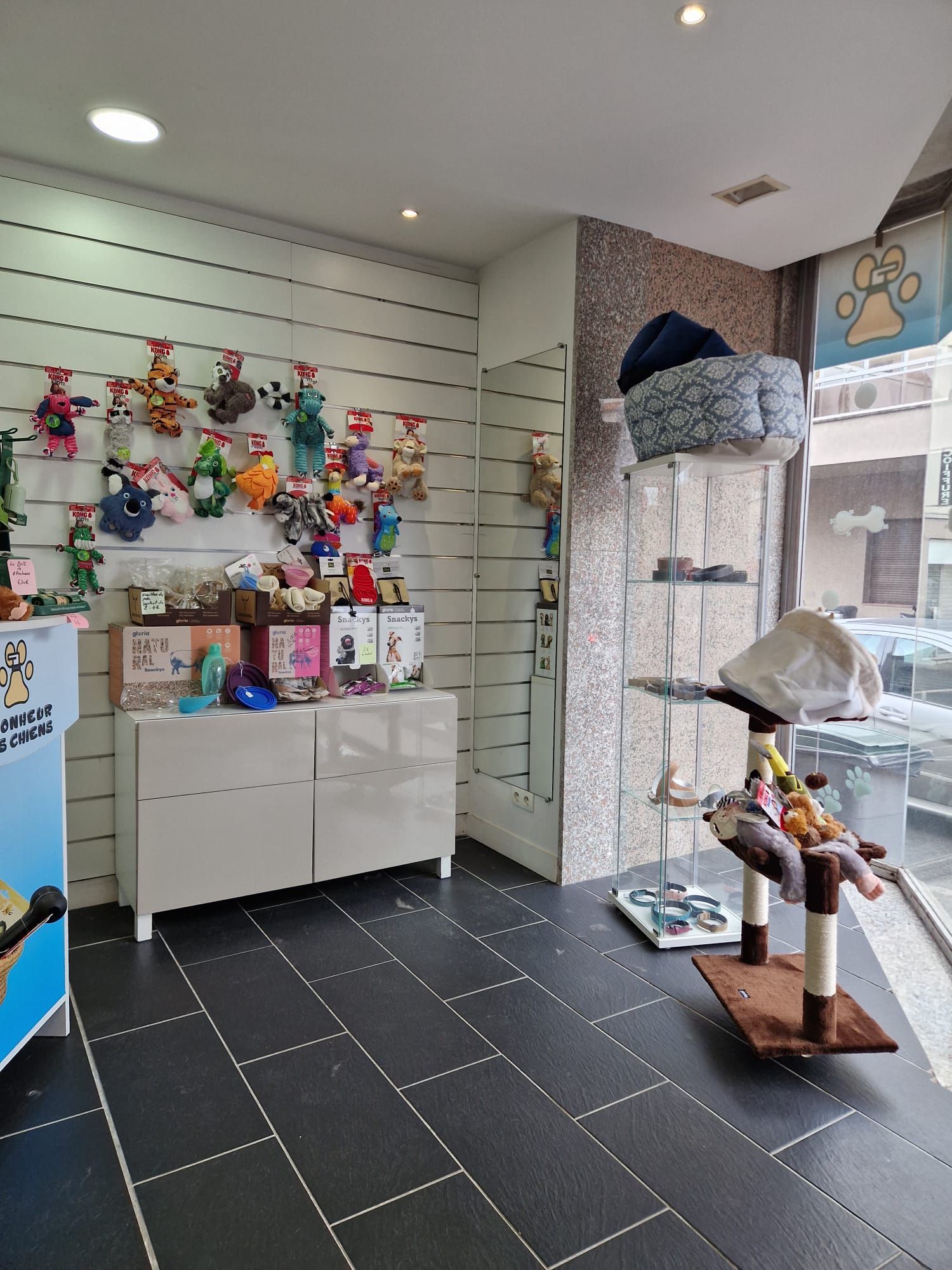 Intérieur d'une boutique pour animaux avec tables d'exposition et sol carrelé gris.