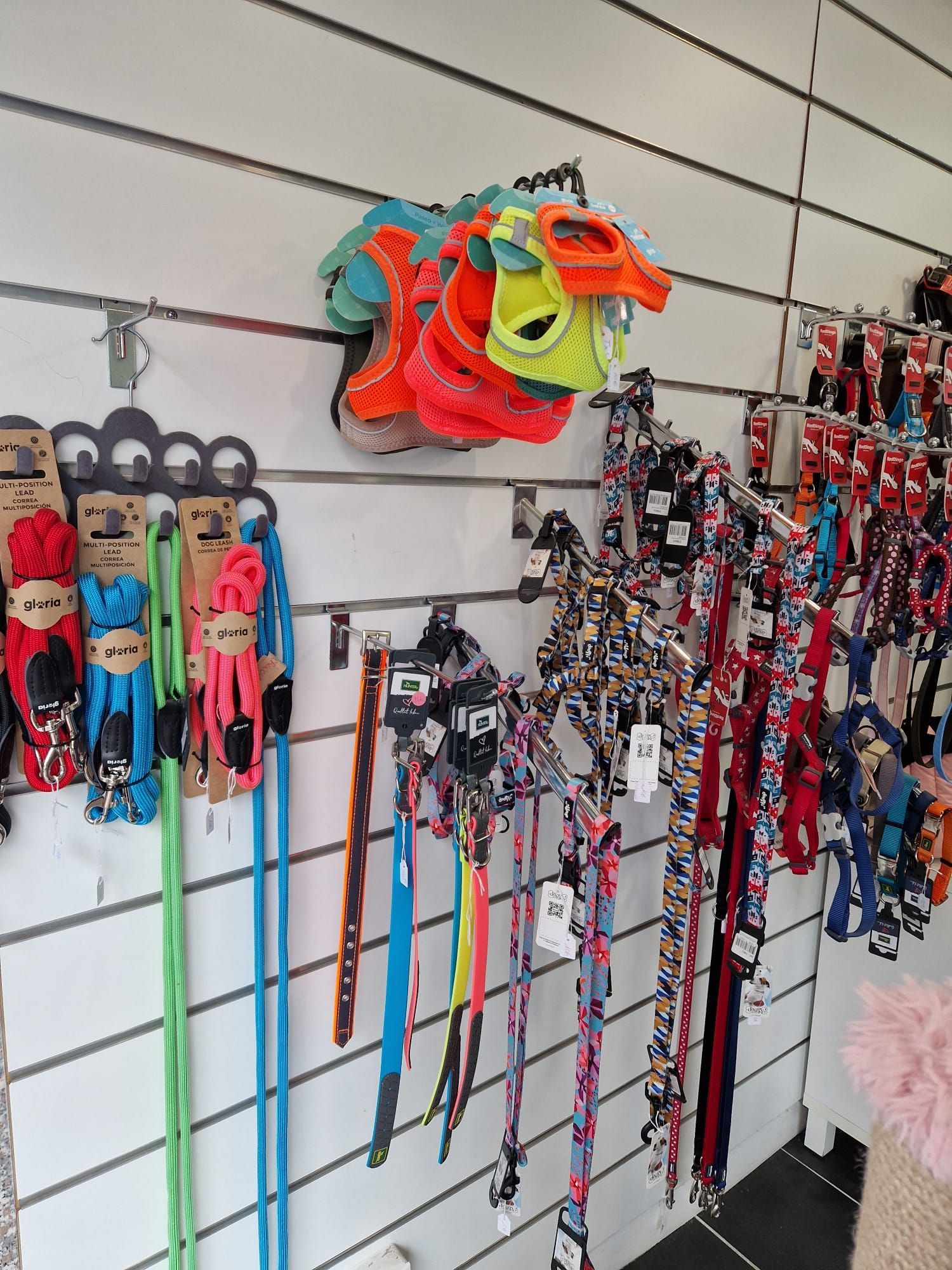 Assortiment de laisses et de harnais colorés pour animaux de compagnie, suspendus à des crochets muraux dans un magasin.