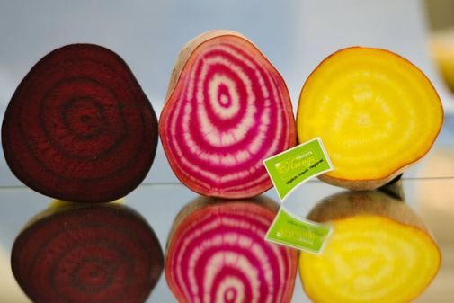 Drei Scheiben rote und gelbe Rüben auf einem Tisch